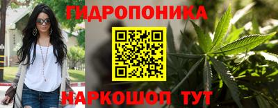 ALPHA PVP Моздок