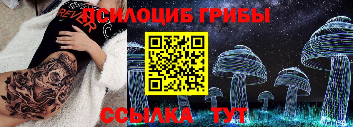 Псилоцибиновые грибы Magic Shrooms  наркота  Тихвин  Вход с VPN  Псилоцибиновые грибы Psilocybe 